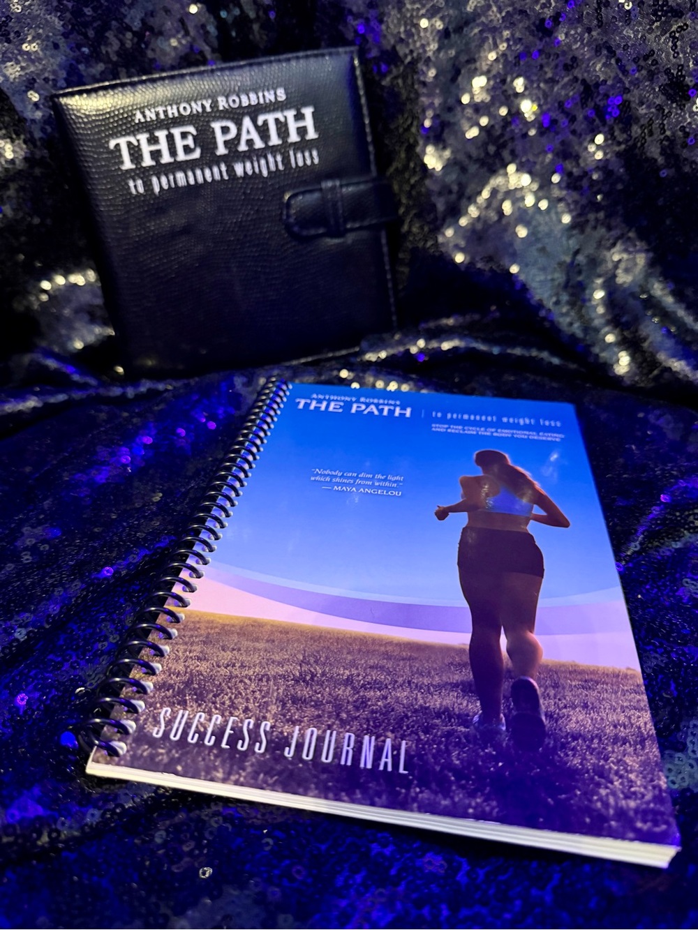 THE PATH to Permanent Weight Loss by Tony Robbins Audio CDs